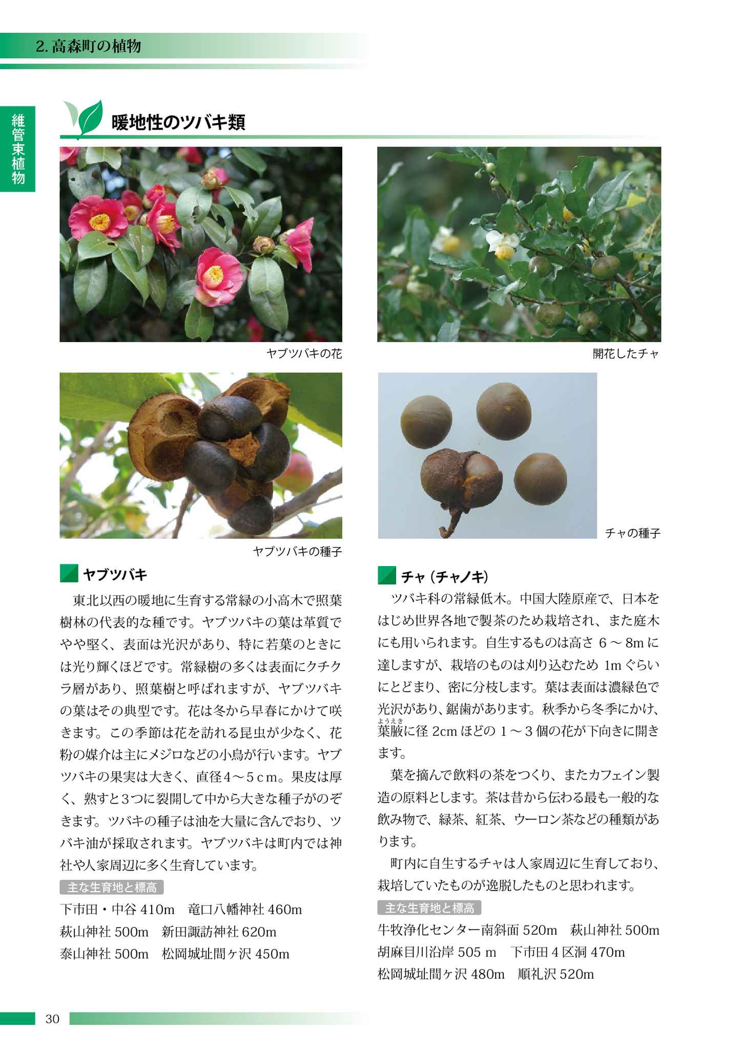 高森町の動植物 高森町の動植物 高森町の動植物 高森町の動植物 高森町の動植物 高森町の動植物 高森町の動植物 高森町の動植物 高森町の動植物 高森町の動植物 高森町の動植物 高森町の動植物 高森町の動植物 高森町の動植物 高森町の動植物 高森町の動植物