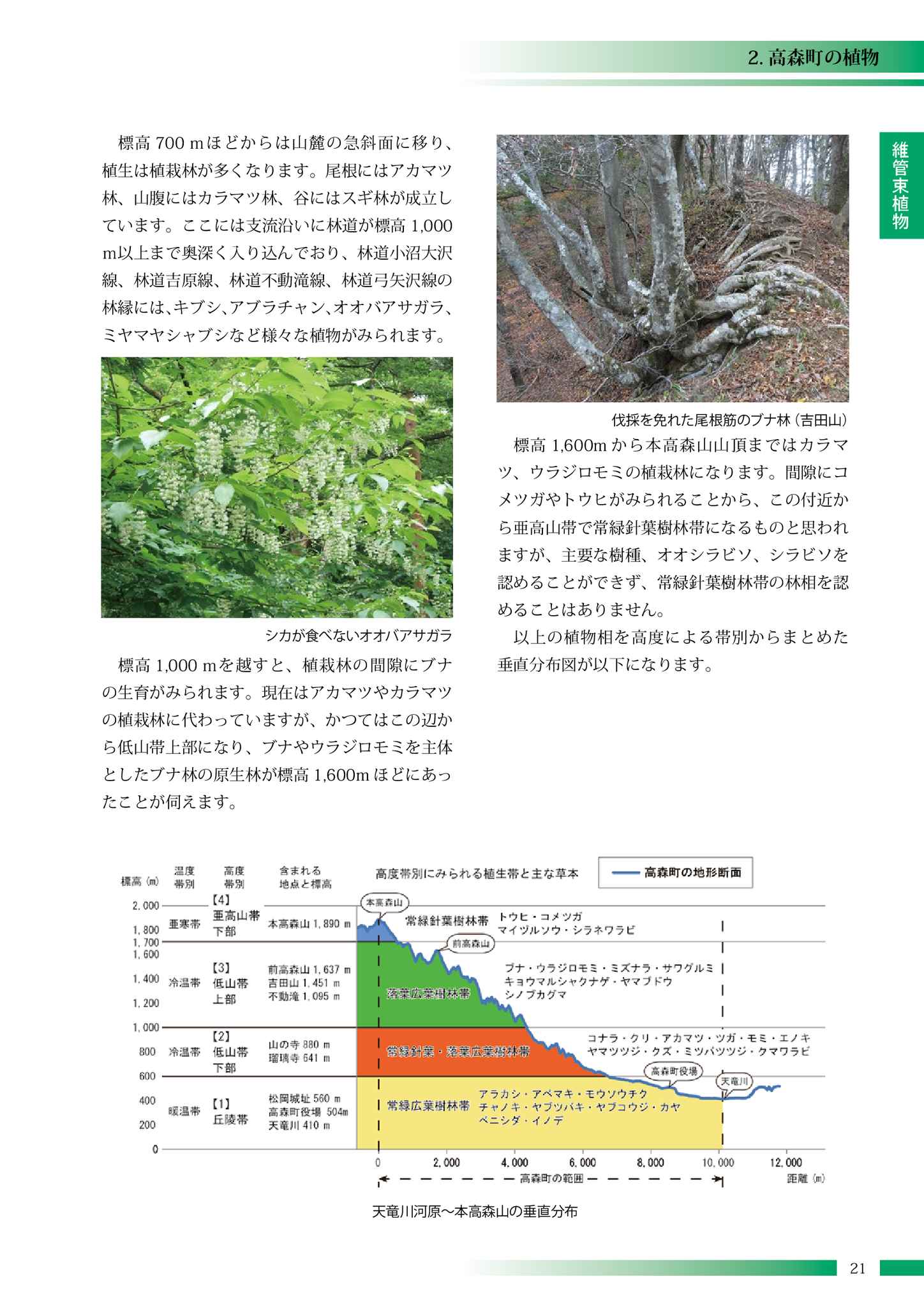 高森町の動植物 高森町の動植物 高森町の動植物 高森町の動植物 高 