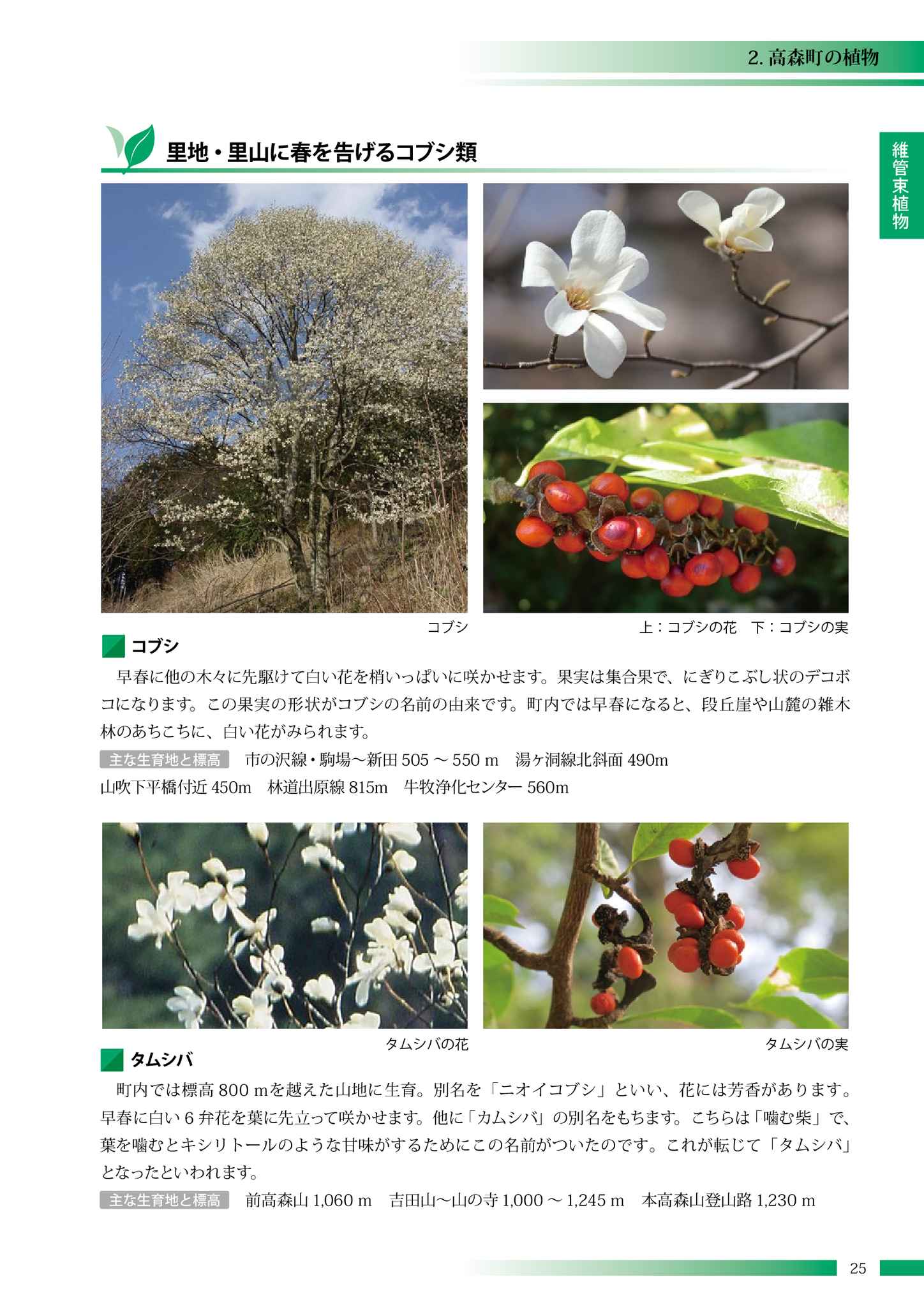 高森町の動植物 高森町の動植物 高森町の動植物 高森町の動植物 高森町の動植物 高森町の動植物 高森町の動植物 高森町の動植物 高森町の動植物 高森町の動植物 高森町の動植物 高森町の動植物 高森町の動植物 高森町の動植物 高森町の動植物 高森町の動植物