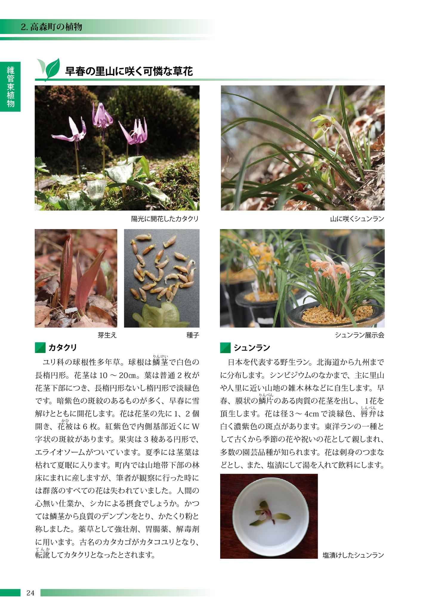 高森町の動植物 高森町の動植物 高森町の動植物 高森町の動植物 高森町の動植物 高森町の動植物 高森町の動植物 高森町の動植物 高森町の動植物 高森町の動植物 高森町の動植物 高森町の動植物 高森町の動植物 高森町の動植物 高森町の動植物 高森町の動植物 高森町の動植物 高森町の動植物 高森町の動植物 高森町の動植物 高森町の動植物 高森町の動植物 高森町の動植物 高森町の動植物 高森町の動植物 高森町の動植物 高森町の動植物 高森町の動植物 高森町の動植物 高森町の動植物 高森町の動植物 高森町の動植物
