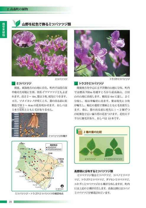 高森町の動植物 高森町の動植物 高森町の動植物 高森町の動植物 高森町の動植物 高森町の動植物 高森町の動植物 高森町の動植物 高森町の動植物 高森町の動植物 高森町の動植物 高森町の動植物 高森町の動植物 高森町の動植物 高森町の動植物 高森町の動植物